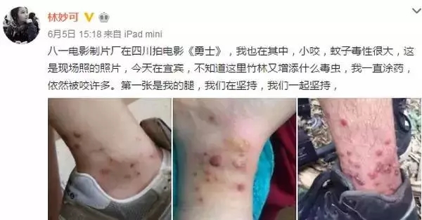 初夏蚊蟲(chóng)飛舞，一扇紗窗守護(hù)你家