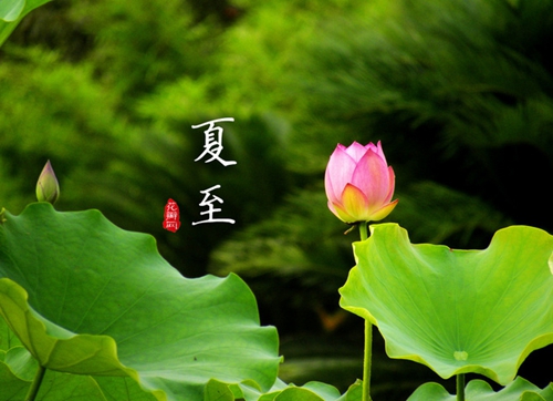 【今日夏至】荷風(fēng)送香氣，南方迎高溫