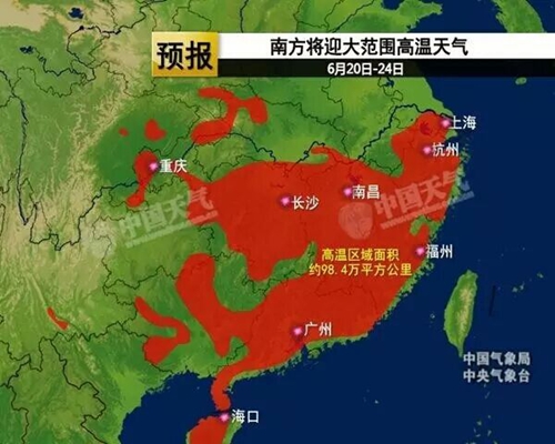 荷風送香氣，南方迎高溫